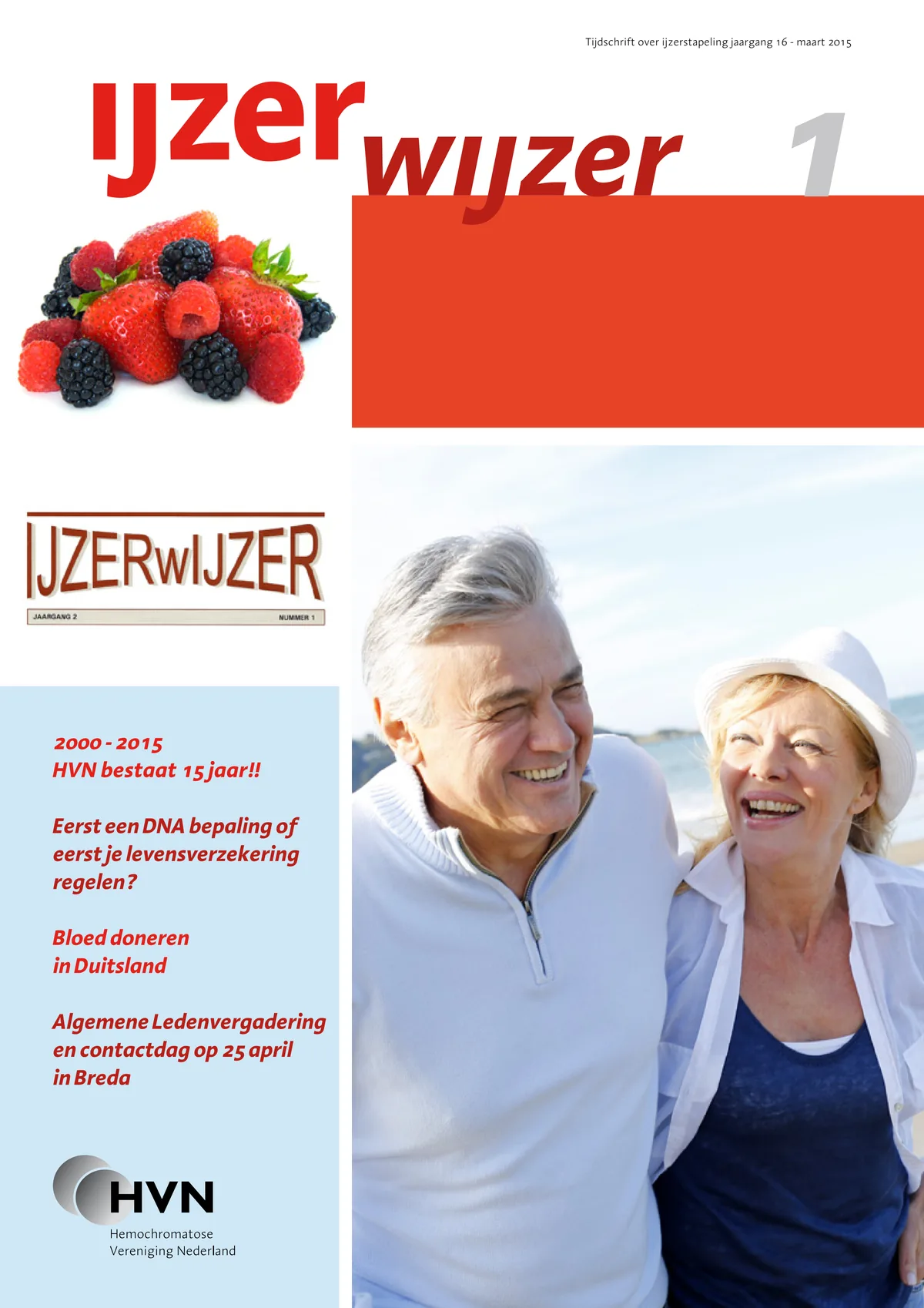 Omslag IJzerwijzer 1, maart 2015