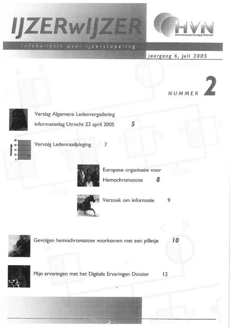 Omslag IJzerwijzer 2, juni 2005