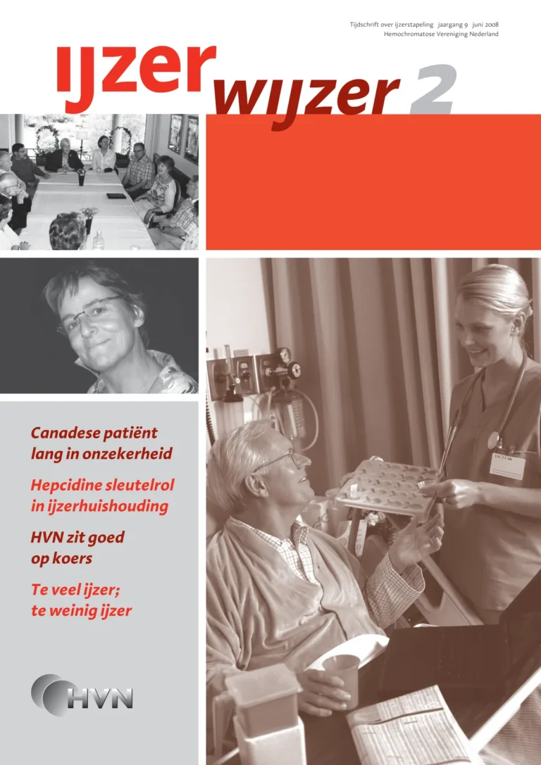 Omslag IJzerwijzer 2, juni 2008