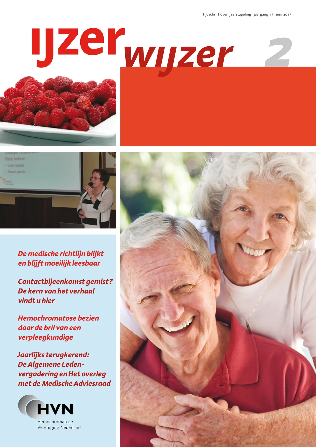 Omslag IJzerwijzer 2, juni 2013