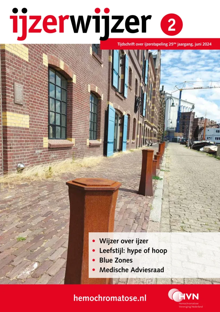 Omslag IJzerwijzer 2, juni 2024