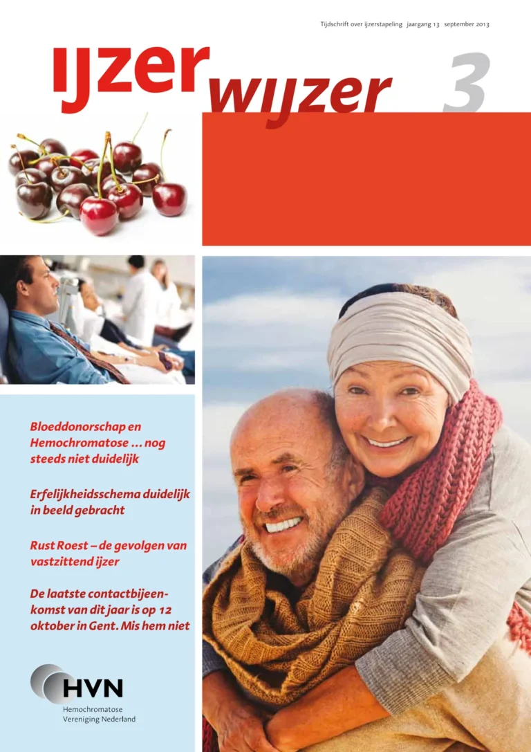 Omslag IJzerwijzer 3, september 2013