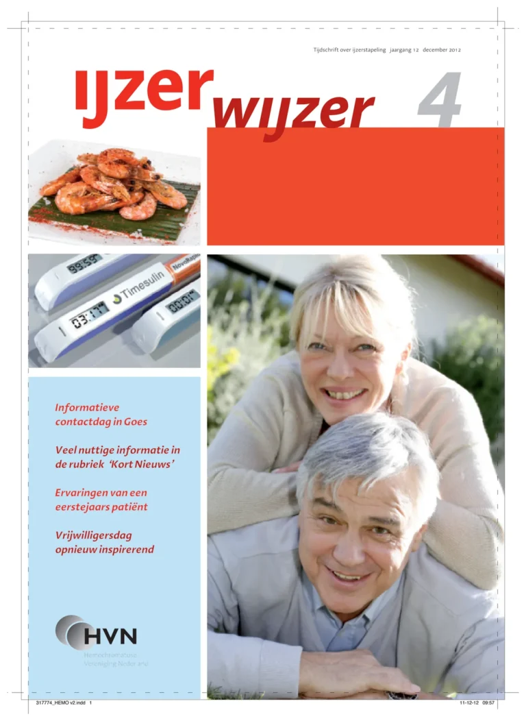 Omslag IJzerwijzer 4, december 2012